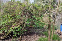 img_bultkamp-garten_028
