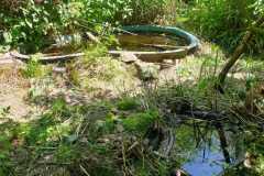 img_bultkamp-garten_044