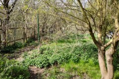 img_bultkamp-garten_002