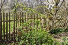 img_bultkamp-garten_003