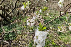 img_bultkamp-garten_010
