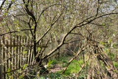 img_bultkamp-garten_011