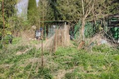 img_bultkamp-garten_013