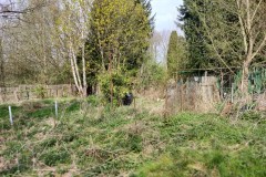 img_bultkamp-garten_020