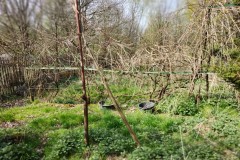 img_bultkamp-garten_021