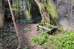 img_bultkamp-garten_022