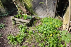 img_bultkamp-garten_023